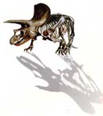 20080228013208-inspalcrusafont.jpg